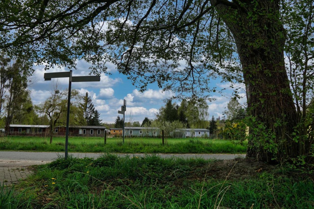 Geraumiges Strandhaus: Familienfreundlich Mit Terrasse Nahe Werbellinsee Holiday home Joachimsthal